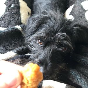 Meet your Posher, Evan